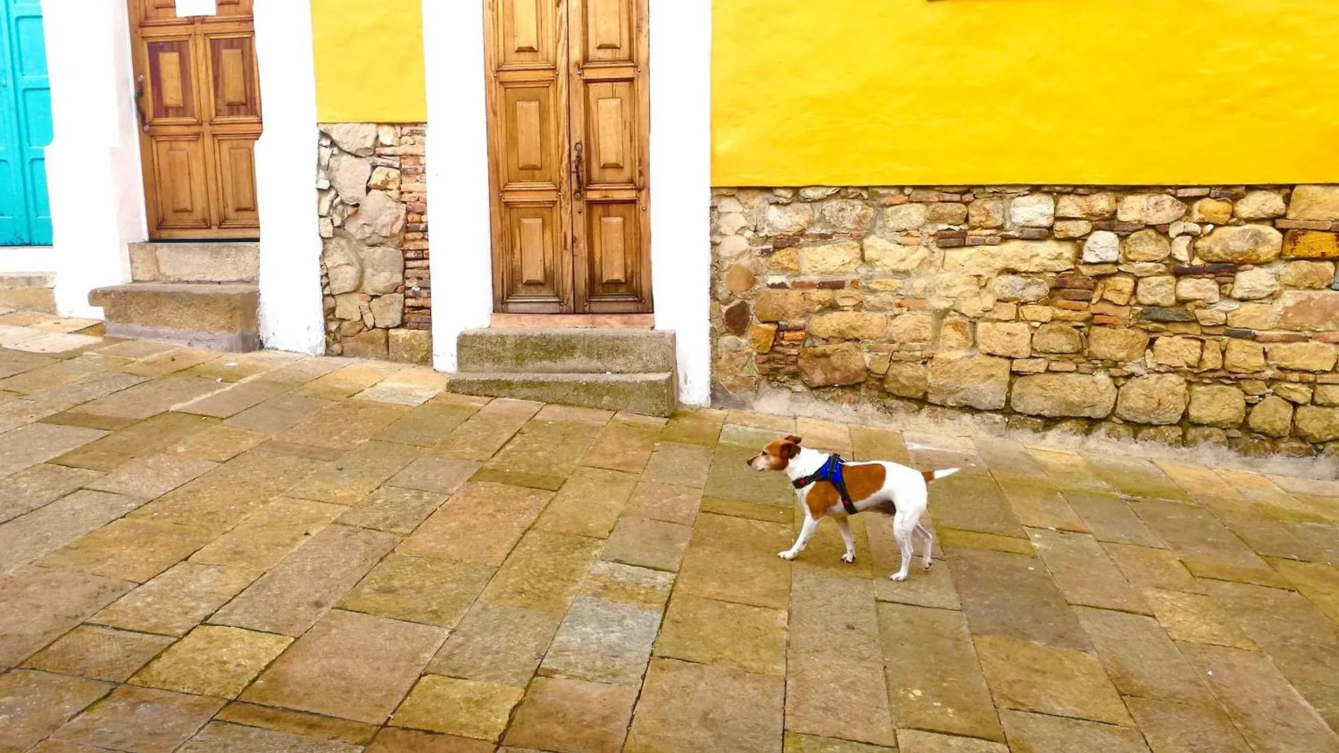 Appartement Bogota Y Su Diversidad